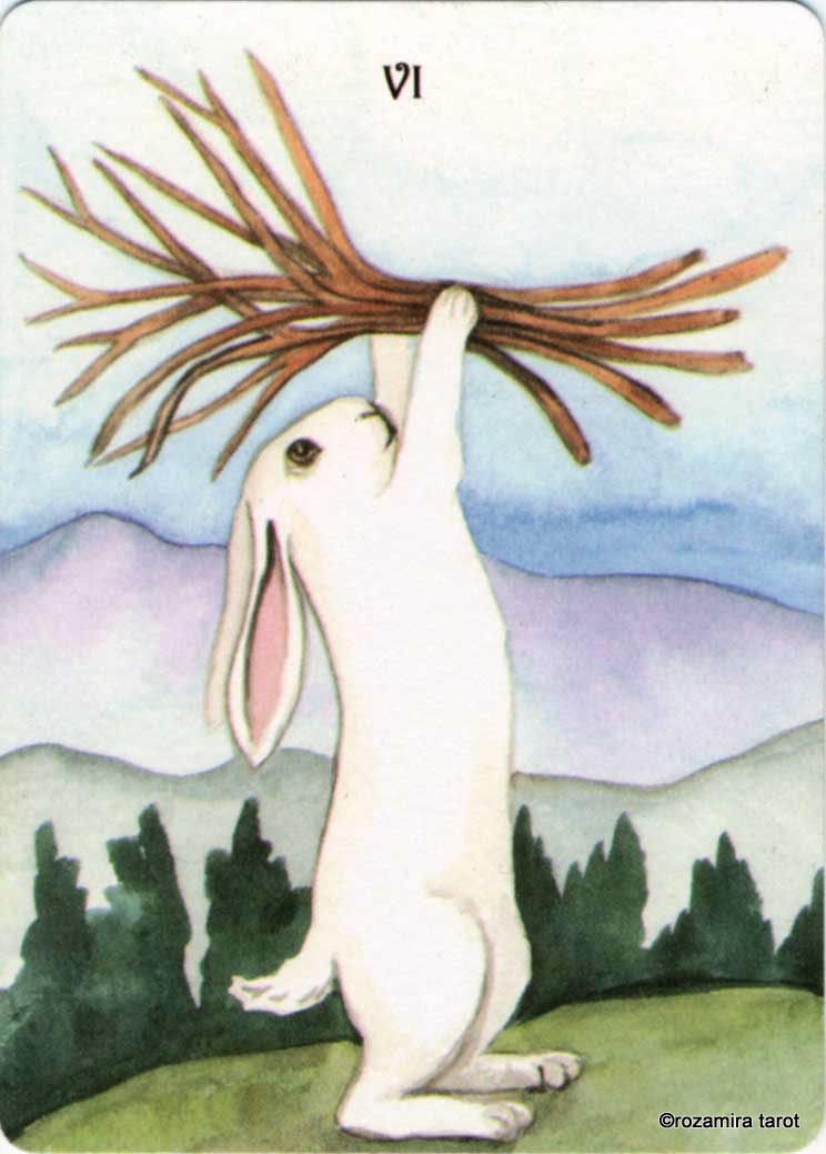 Rabbit Tarot